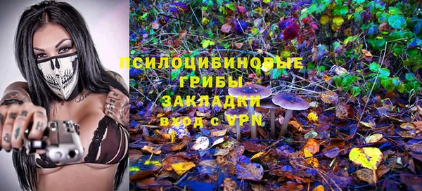 СК Алексеевка