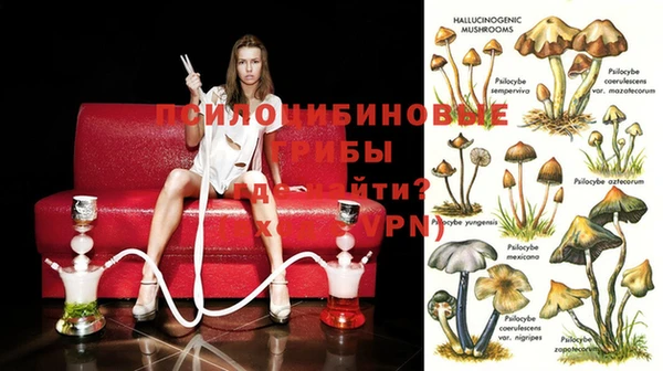 круглые Алзамай