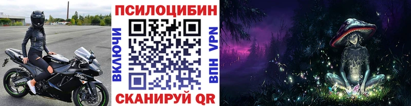 закладки Когалым Псилоцибиновые грибы мицелий